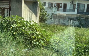 Plot For Sale in Sector 115