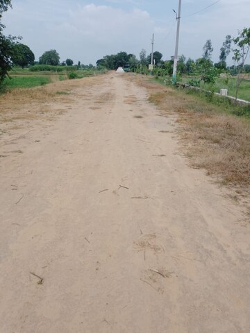 Plot Area in  Plot at Tappal – for Sale