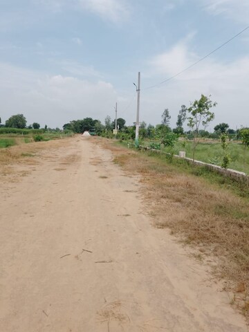 Plot Area in  Plot at Tappal – for Sale