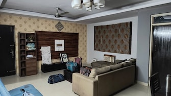 3 BHK Apartment For Rent in Eldeco The Castle Gn Sector pi Greater Noida  7711488