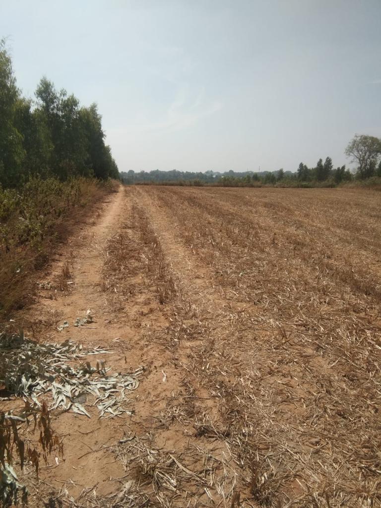 Plot For Resale in Korukonda Road Rajahmundry  7712758