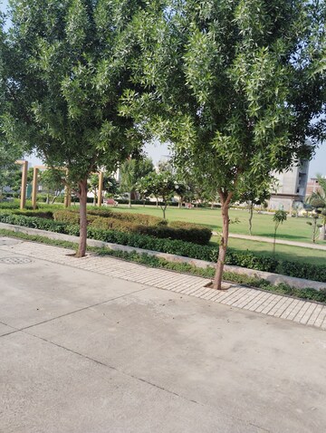  Plot – Exterior View View at Sector 98 - for Sale