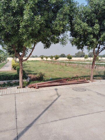 Plot Area in  Plot at Sector 98 – for Sale
