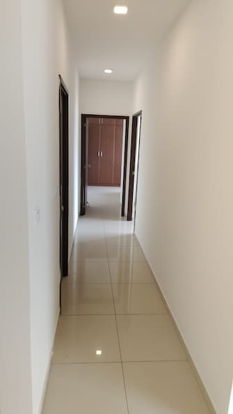 2 BHK Apartment For Rent in Sobha Dream Acres Panathur Bangalore  7713101