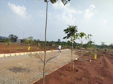 Plot Area in  Plot at Budhera – for Sale