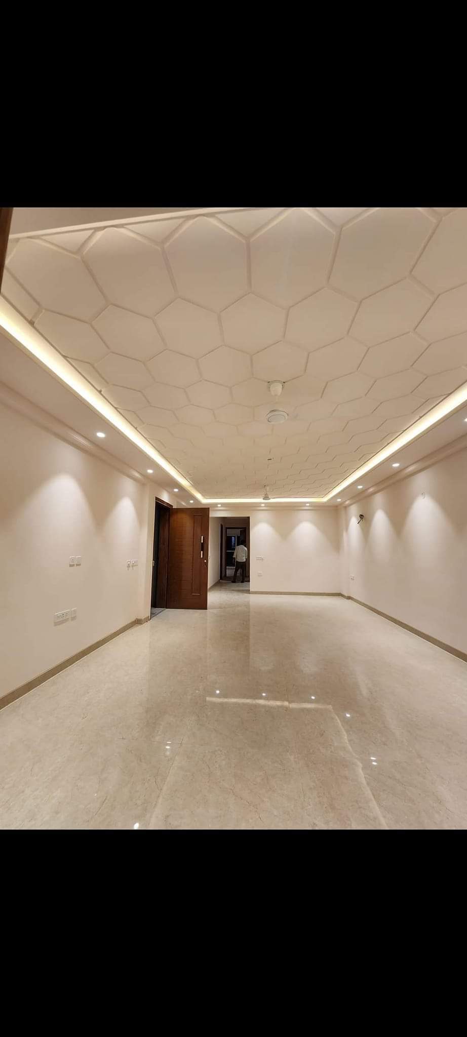 3 BHK Builder Floor For Rent in Pitampura Delhi  7713370