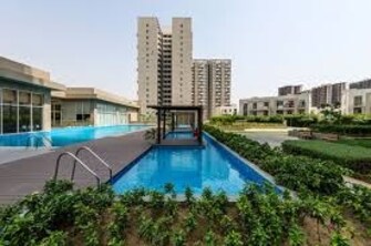 3.5 BHK Apartment For Resale in Vatika Seven Lamps Sector 82 Gurgaon  7713378