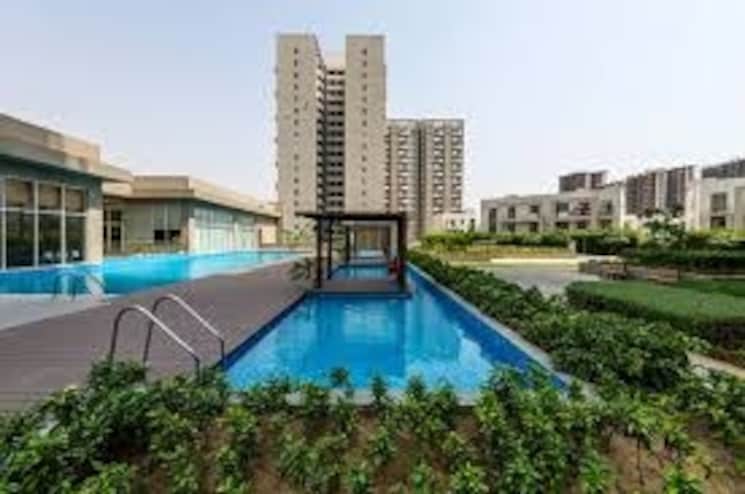 Swimming Pool, vatika-seven-lamps 3.5 Bedroom 2160 Sq.Ft. Apartment In Sector 82 Gurgaon 7713378