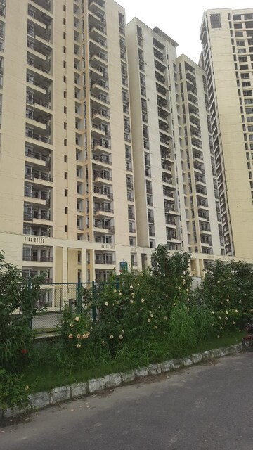 2 BHK Apartment For Resale in Jaypee Kensington Boulevard Sector 131 Noida  7713863