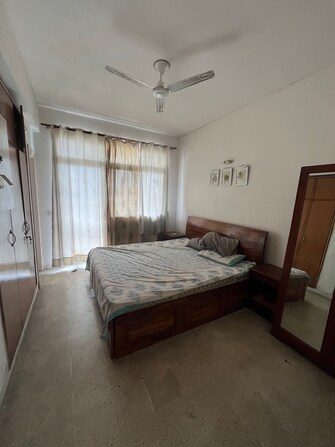 2.5 BHK Apartment For Rent in DLF Silver Oaks Sector 26 Gurgaon  7714003