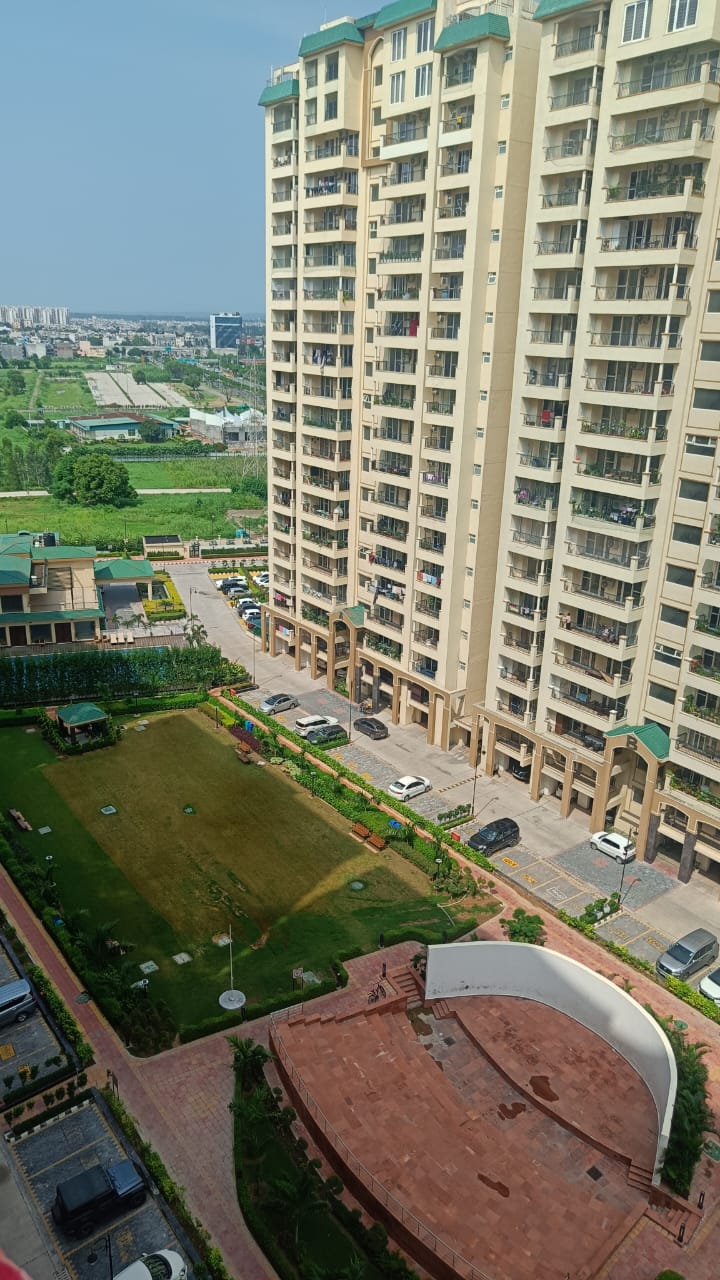 3 BHK Apartment For Resale in Sector 126 Mohali  7714299