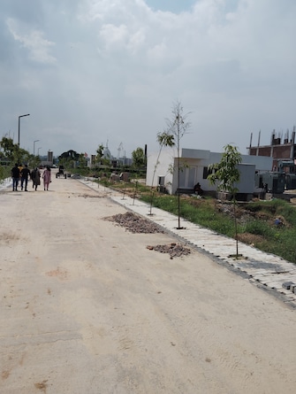 Plot For Resale in Amolik Aster Woods Sector 98 Faridabad  7714360