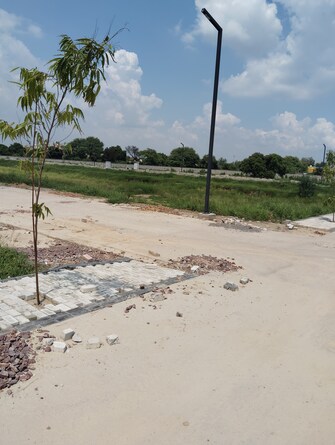 Plot For Resale in Amolik Aster Woods Sector 98 Faridabad  7714360