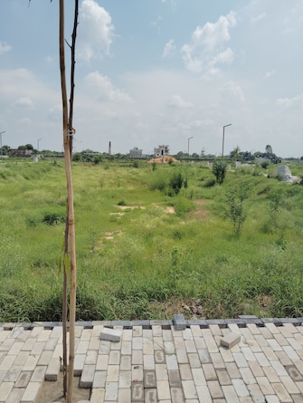 Plot For Resale in Amolik Aster Woods Sector 98 Faridabad  7714360