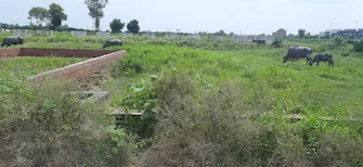 Plot For Resale in Ram Nagar Colony Bareilly  7714581