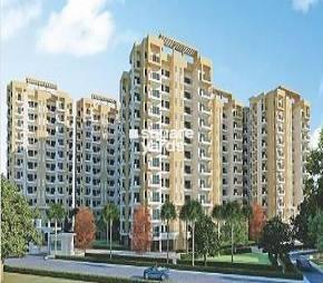 3 BHK Apartment For Rent in AWHO 6A Vrindavan Yojna Lucknow  7714646