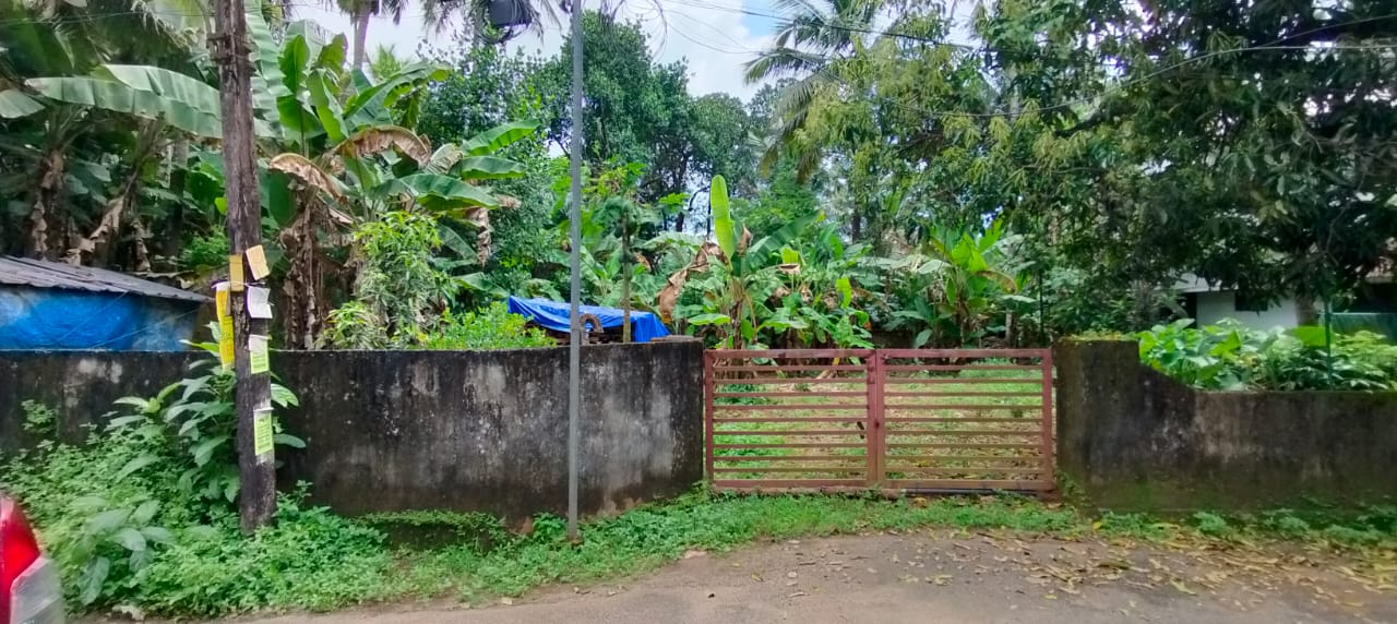 Plot For Resale in Kolazhy Thrissur  7714896