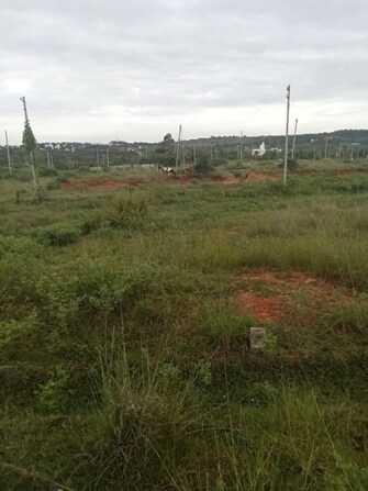 Plot For Resale in SLN City Tavarekere Bangalore  7714906