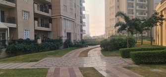 5 BHK Penthouse For Rent in ATS Tourmaline Sector 109 Gurgaon  5699211