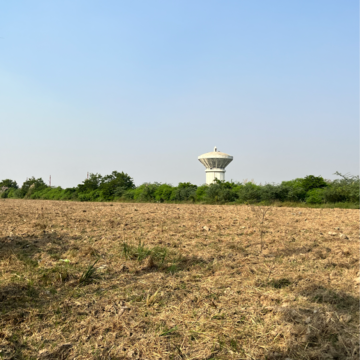 Plot Area in  Plot at Sector 150 – for Sale