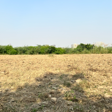 Plot Area in  Plot at Sector 150 – for Sale