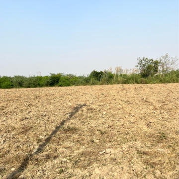 Plot Area in  Plot at Sector 150 – for Sale