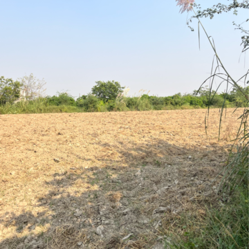 Plot Area in  Plot at Sector 150 – for Sale