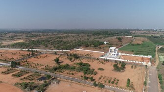 Plot For Resale in Sai Priya Enchanted Farms Tukkuguda Hyderabad  7702184