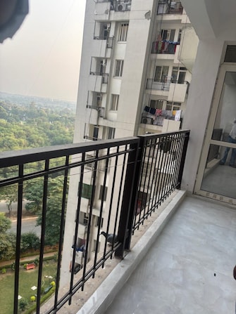 3 BHK Apartment For Rent in Jaypee Kensington Park Apartments Sector 133 Noida  7715251