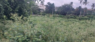 Plot Area in  Plot at Jp Nagar – for Sale