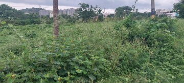 Plot Area in  Plot at Jp Nagar – for Sale