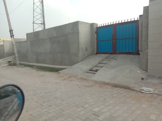 Plot For Rent in SectoR-29 Rohtak  7715276