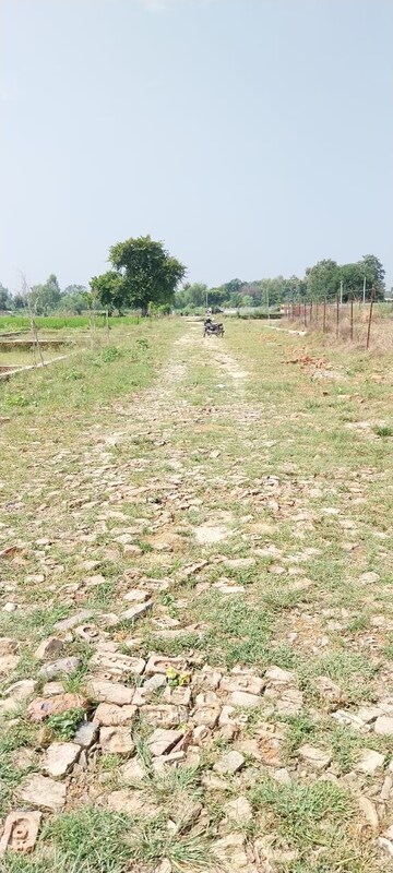 Plot Area in  Plot at Chinhat – for Sale