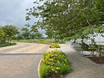 Plot For Resale in Godrej Reserve Devanahalli Bangalore  7715633