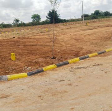 Plot Area in  Plot at Fortune 18, Amangal – for Sale