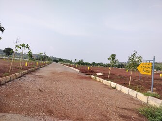 Plot For Resale in Budhera Hyderabad  7716820