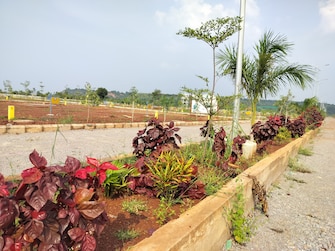 Plot For Resale in Budhera Hyderabad  7716820