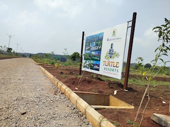 Plot For Resale in Budhera Hyderabad  7716820