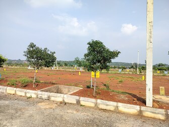 Plot For Resale in Budhera Hyderabad  7716820