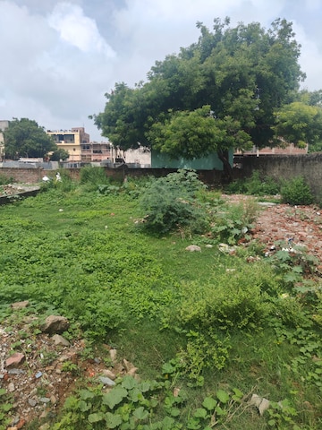 Plot For Resale in Sector 39 Panipat  7710930