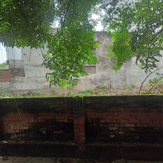 Commercial Land 4100 Sq.Ft. For Resale in Indira Nagar Lucknow  7717619