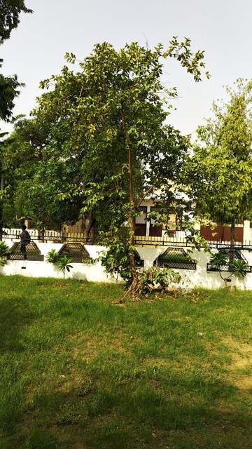  Plot For Sale in Alpha 1 Greater Noida