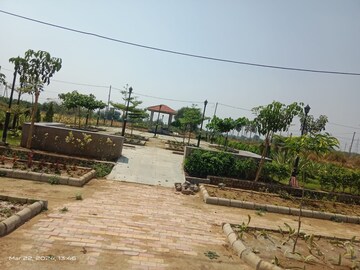Plot Area in  Plot at Sejbahar – for Sale
