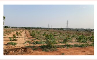 Plot For Resale in Chintalcheru Hyderabad  7718864