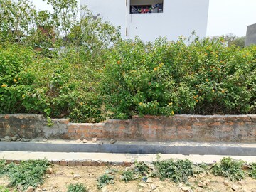  Plot For Sale in Nijampur Malhaur