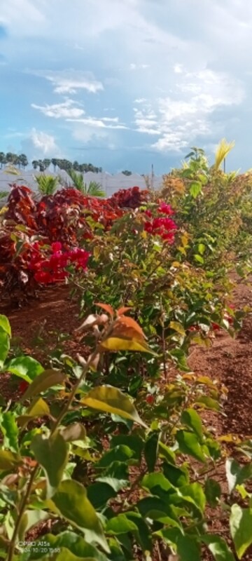  Plot – Garden View at Sri Bhumi Eeshaanya, Kankipadu - for Sale