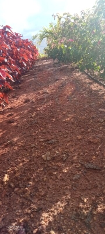 Plot Area in  Plot at Sri Bhumi Eeshaanya, Kankipadu – for Sale