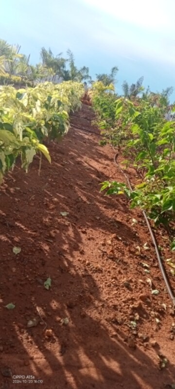 Plot Area in  Plot at Sri Bhumi Eeshaanya, Kankipadu – for Sale
