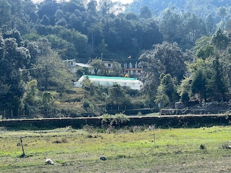 Commercial Land 2020 Sq.Mt. For Resale in Bhagtpura Nainital  7123164