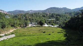 Commercial Land 2020 Sq.Mt. For Resale in Bhagtpura Nainital  7123164